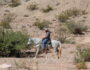 Horse Riding